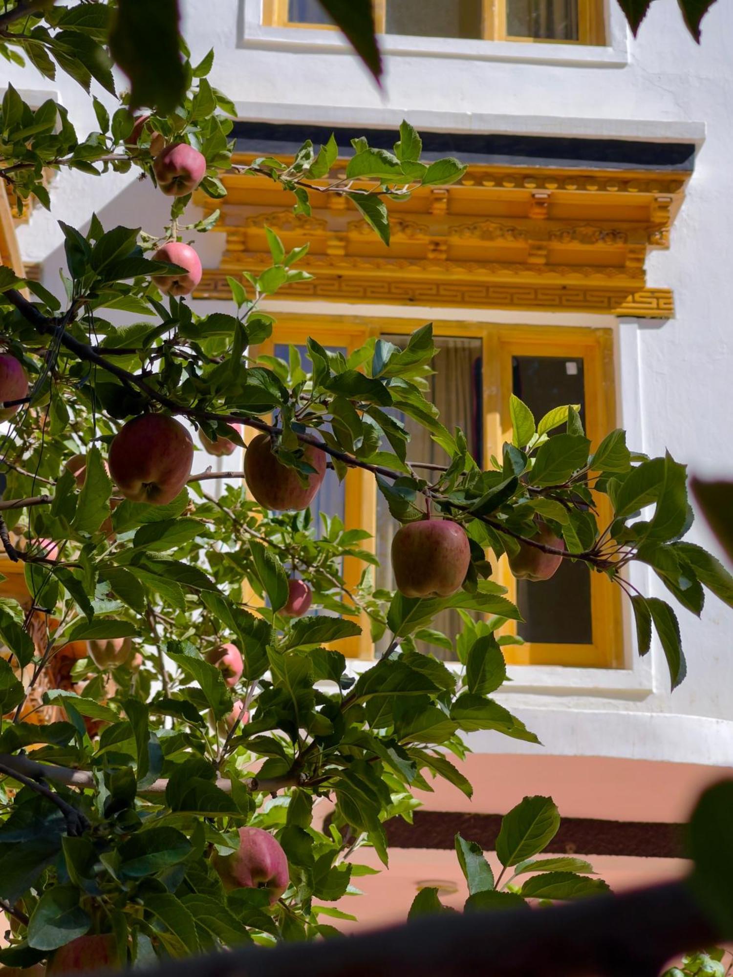 Hotel Rock Castle Residency Leh Zewnętrze zdjęcie